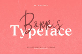 Borris Font: Bold Display Typography for Digital Campaigns
