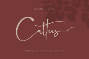 Cattus Font: Modern Script for Digital Campaigns
