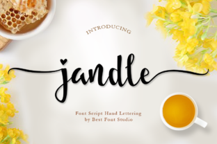 Jandle Font: Authentic Handwritten Style for Digital Campaigns