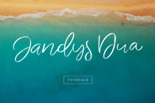 Jandys Font Review: A Smooth Script for Web Design