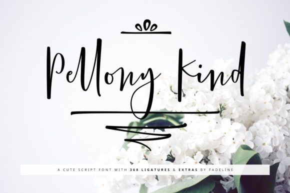 Pellony Kind Font: Adding Warmth to Digital Campaigns